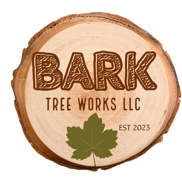 Bark Tree Works Expert Tree Services In Pinellas Co